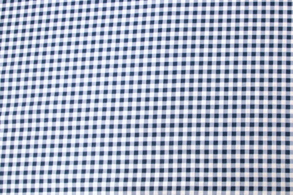 Vero's World Blue & White Gingham Cotton