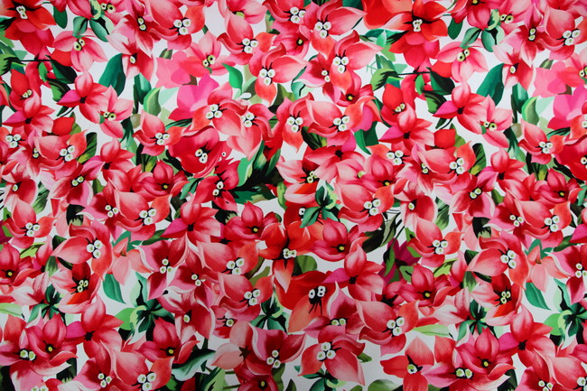 Pretty Coral Orchids Stretch Cotton Digital Print