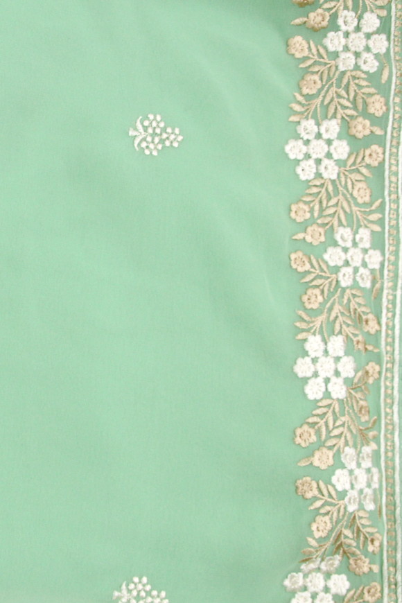 Light Apple Green Embroidered Saree
