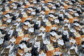 Crowded Cats Premium Cotton