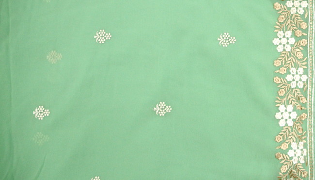 Light Apple Green Embroidered Saree