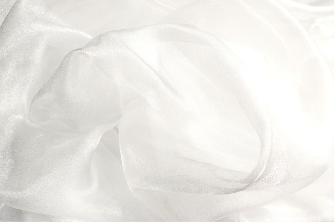 Shimmering Ivory Organza New Image