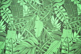 Medium Forest Green & Charcoal Pacific Island Printed Chiffon