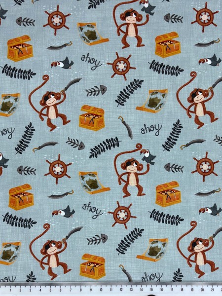 A Pirates Adventure - Ahoy There!