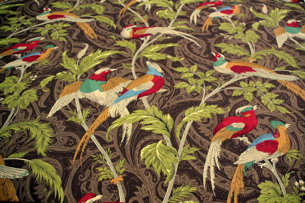 Exotic Birds - Brights & Browns Cotton Canvas