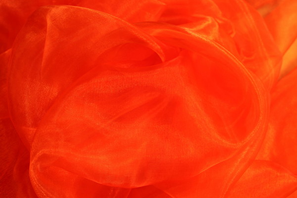 Bright Orange Organza New Image