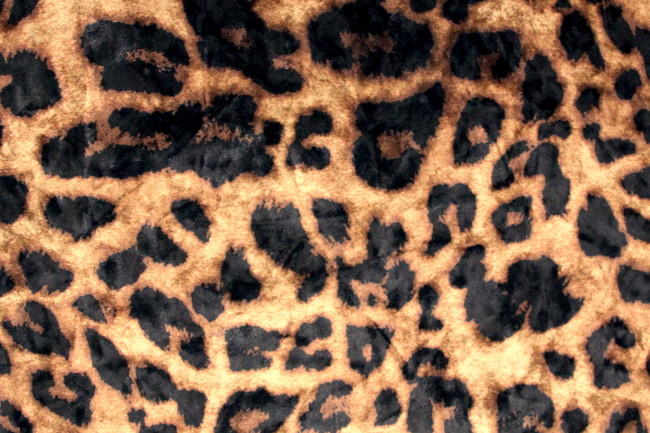 Black & Golden Brown Leopard Digital Print Spun Stretch Velvet