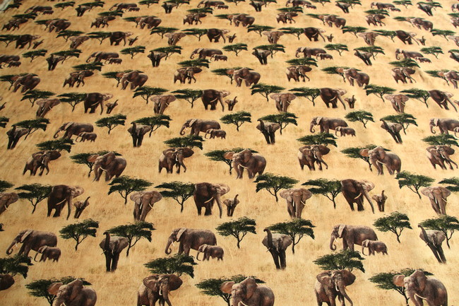 Elephant - African Safari Premium Cotton