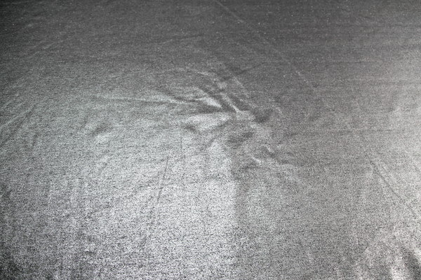 Shimmering Silver Foiled Black Ponti de Roma New Image