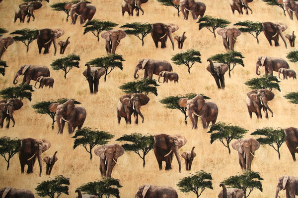 Elephant - African Safari Premium Cotton