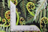 Ferns - Extra Wide, Kiwiana 100% Cotton Backer