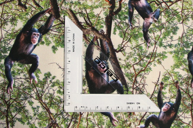 Chimpanzee - African Safari Premium Cotton