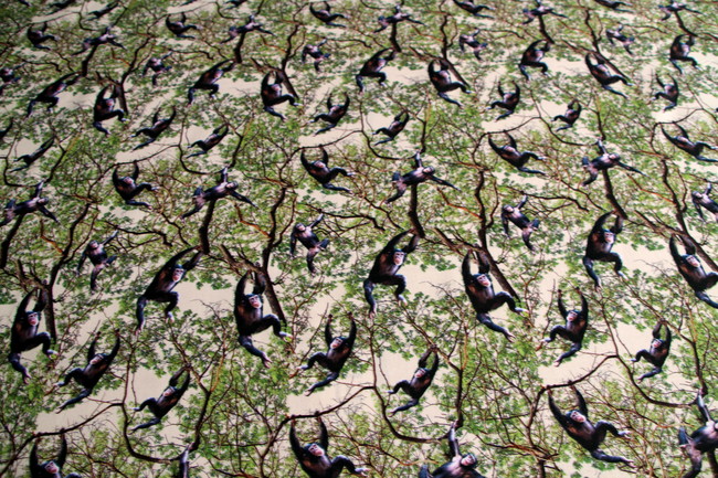 Chimpanzee - African Safari Premium Cotton