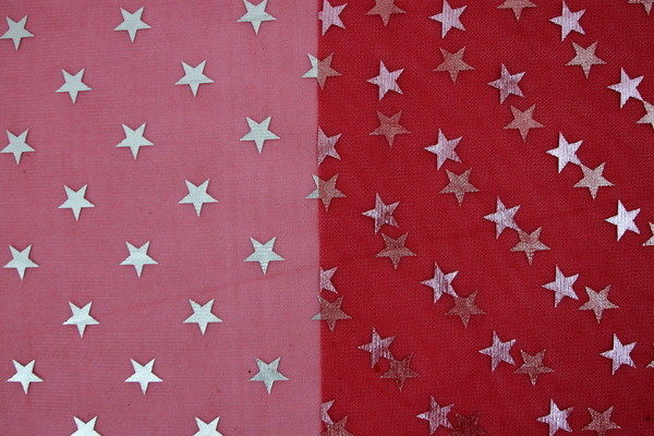 Silver/Gold Star Foil Embossed Soft Tulle