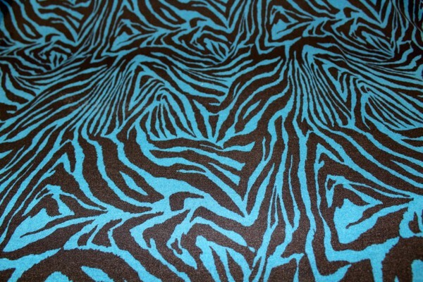 Striking Turquoise Zebra Printed Knit